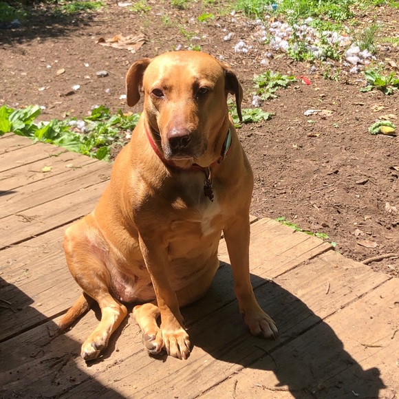 Meet your Posher, Kaeli - Picture 5 of 6